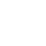 WDS Logo